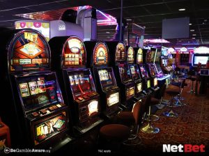 qslot - Plataforma Cassino Online